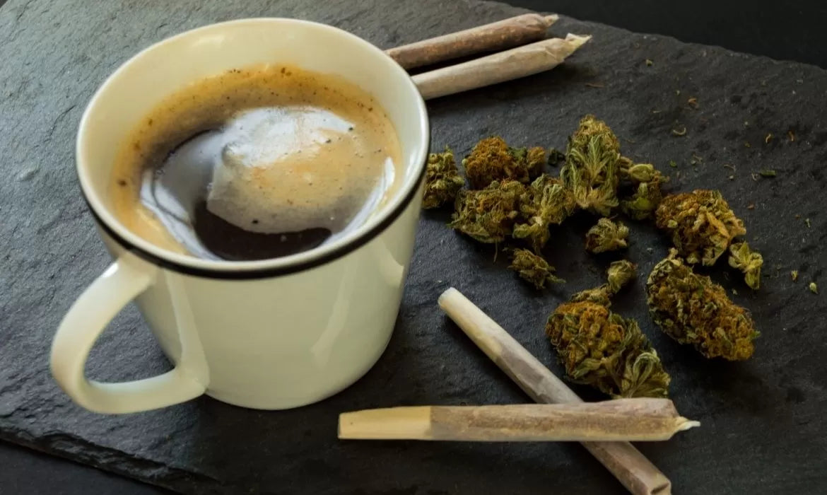 Kief coffee and cannabis buds and joints