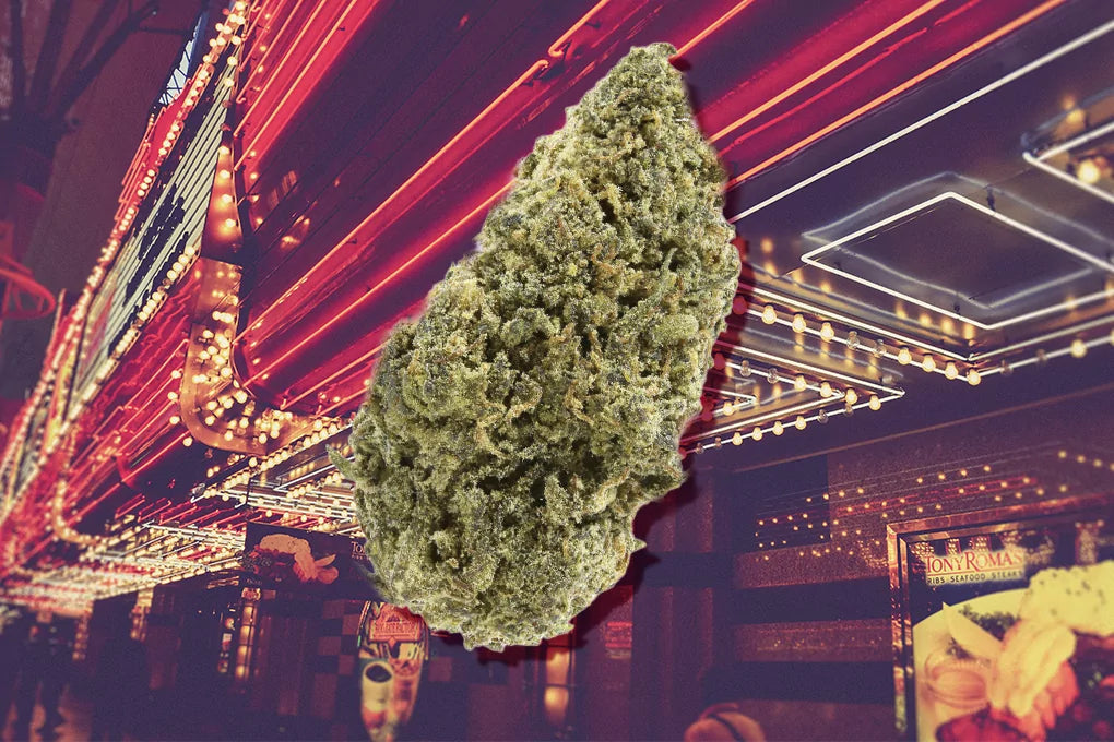 A bud of Las Vegas Triangle Kush strain floats in front of the backdrop of a Vegas casino.