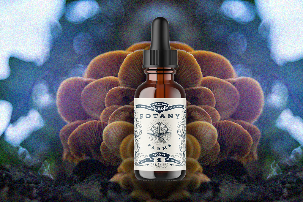 A Botany Farms branded tincture dropped sits in the foreground against a background of mushrooms and blurred blue light