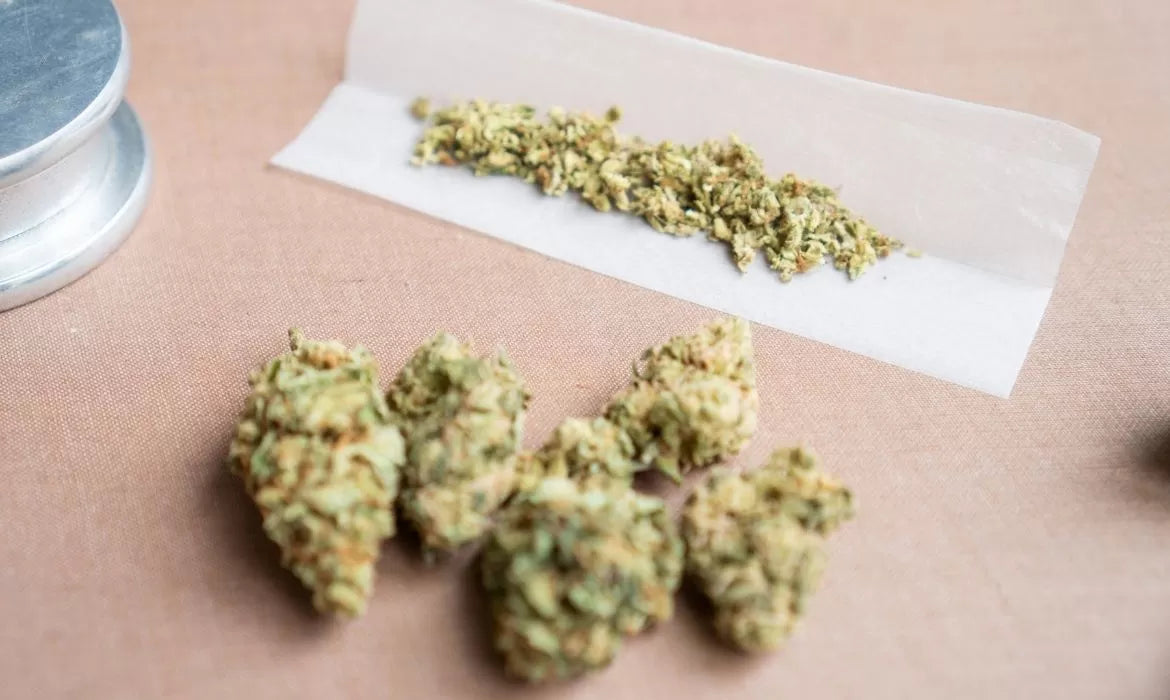 Maverick Hemp Strain