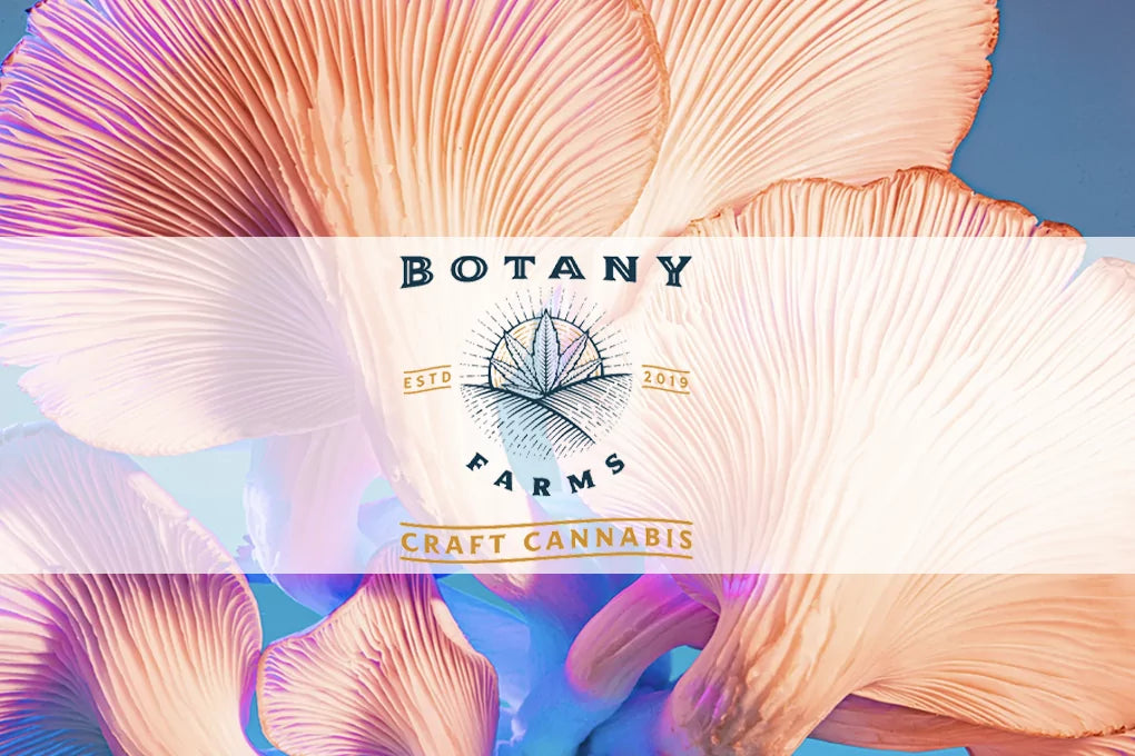 Botany Farms logo hovers over a backdrop of mushrooms used in their mushroom tonic recipe