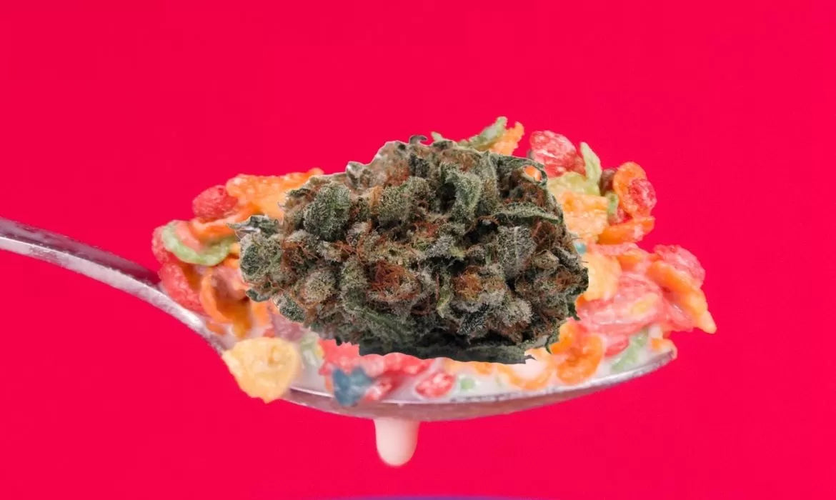 Orange Fruity Pebbles strain