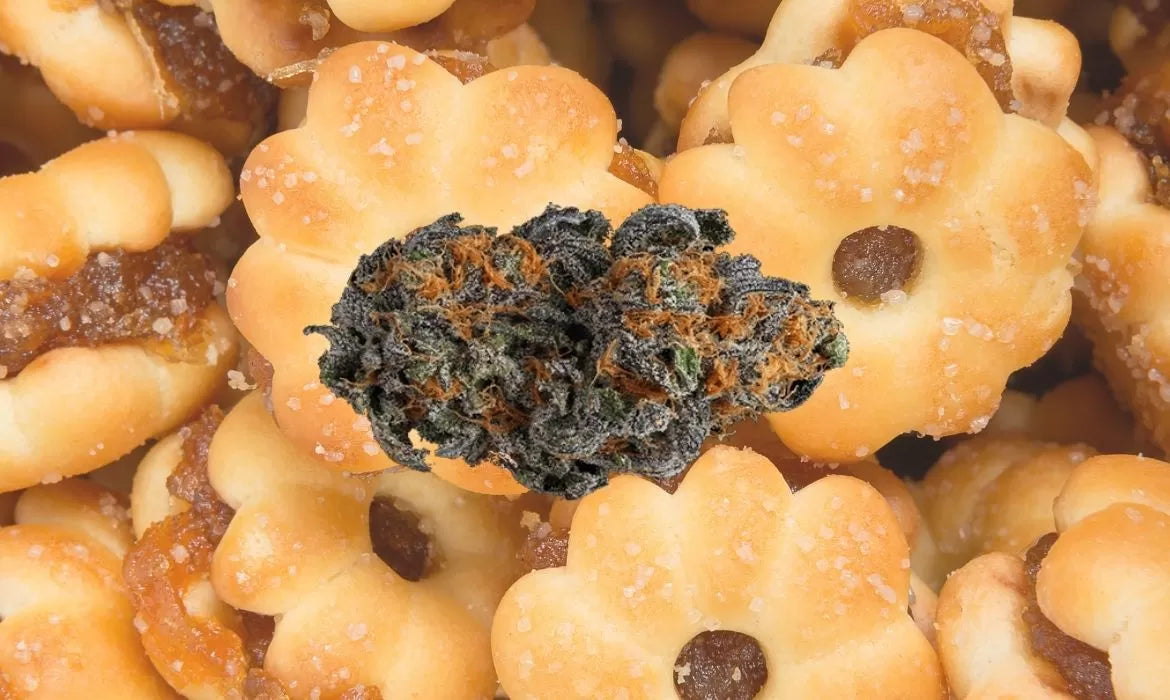 Pineapple Cookies strain