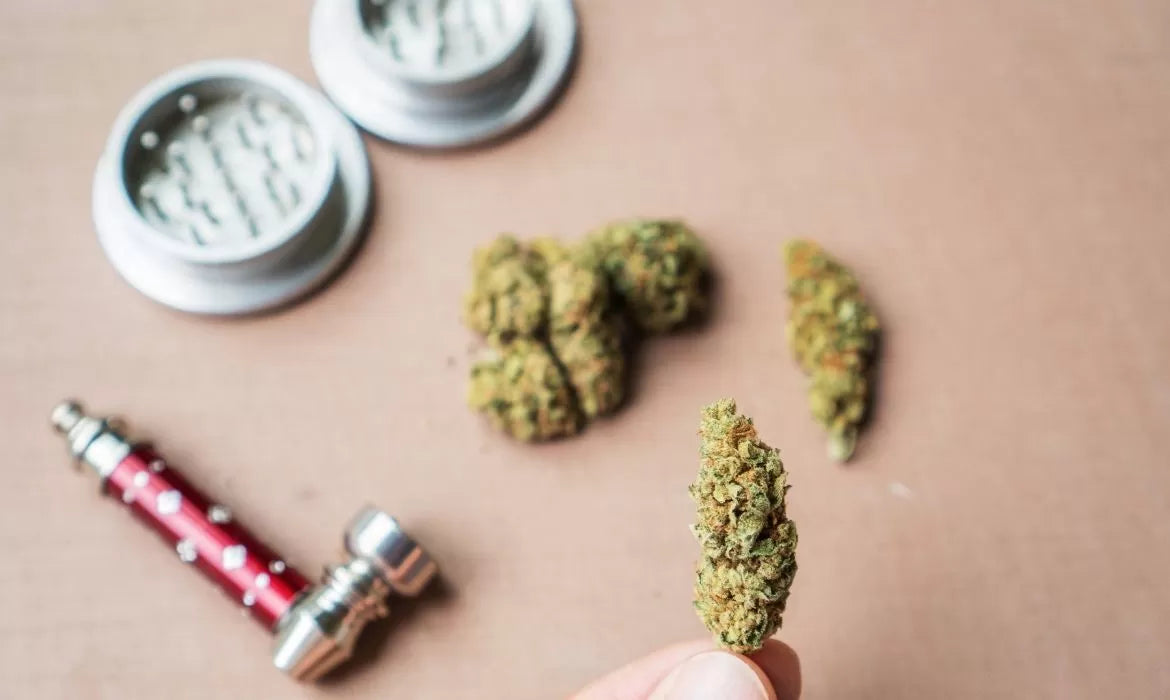 Pineberry Hemp strain