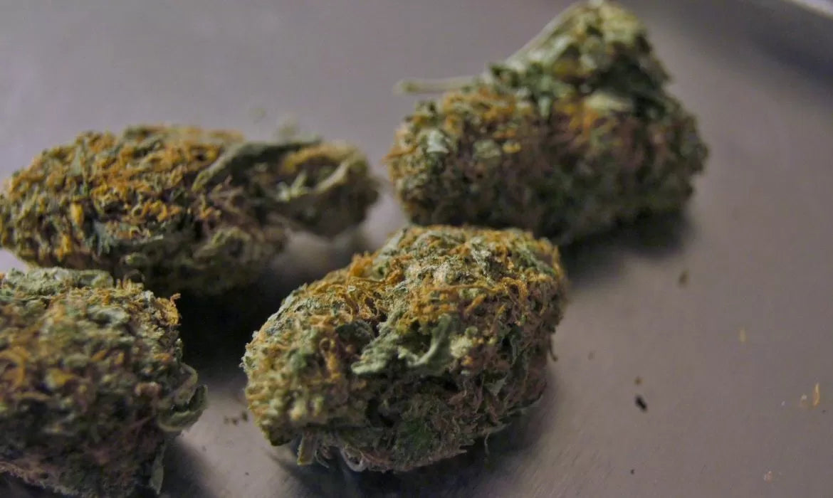 Peach Mint Kush strain