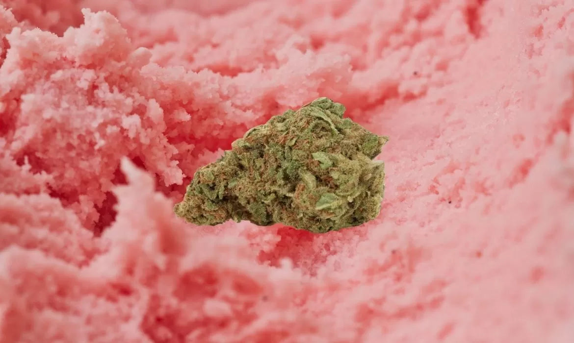 Pink Sherbet strain