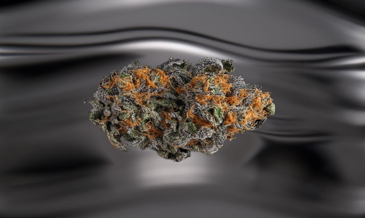 Platinum Candy strain