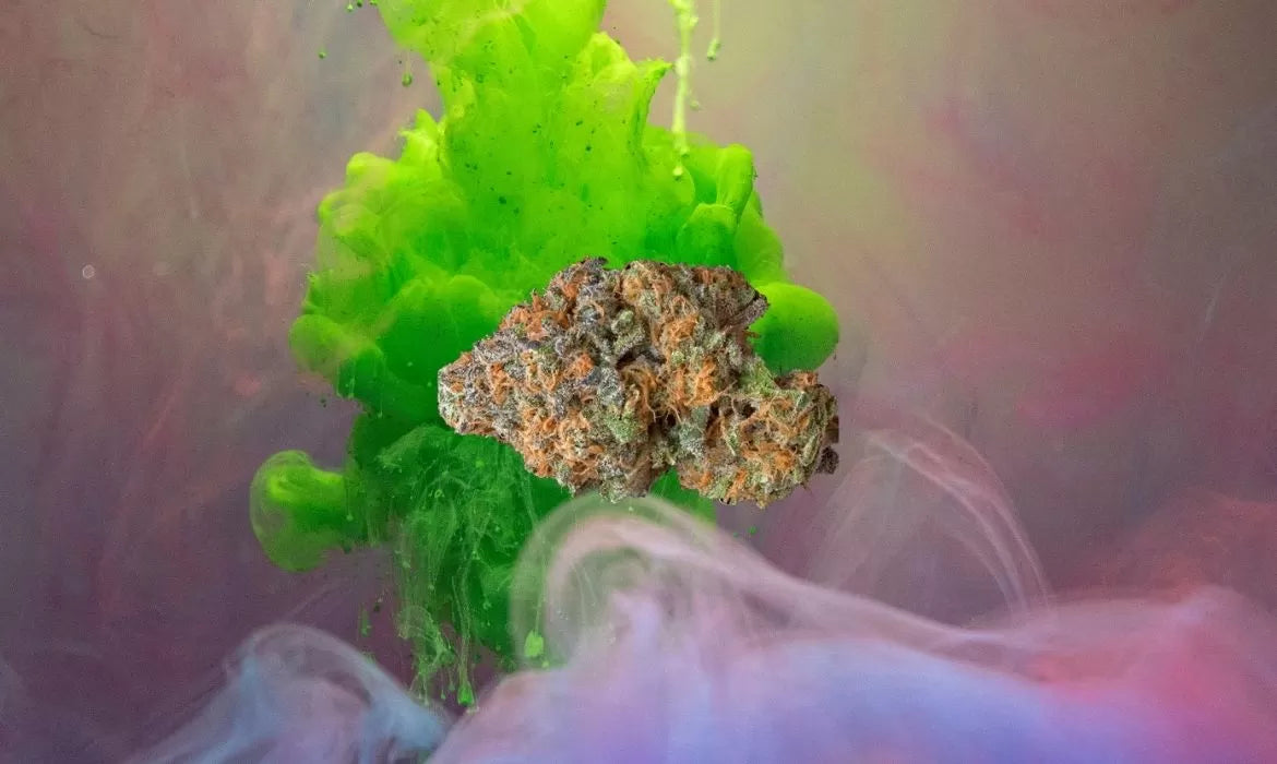 Poison Fruit strain