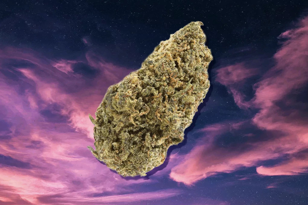 Purple sunset marijuana bud floats among purple clouds