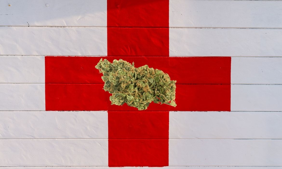 Red Cross hemp strain