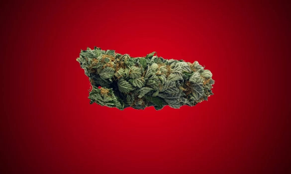 Red Headed Stranger strain