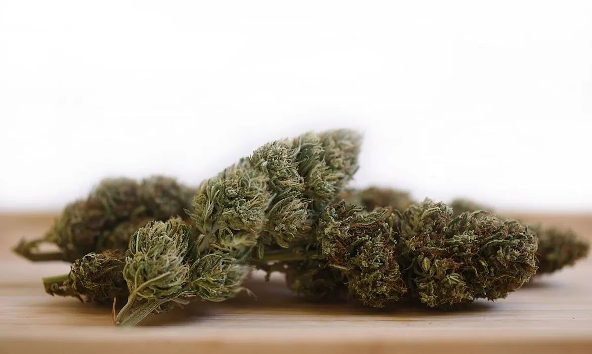Remission hemp strain