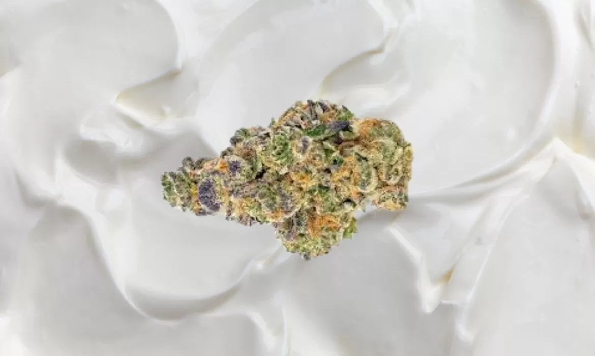 Sour Cream strain nug