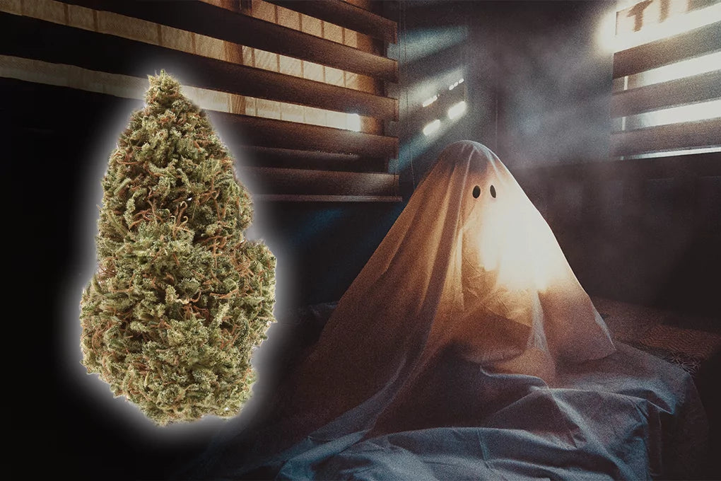 A nug of sour ghost strain floats beside a classic bedsheet ghost in the background