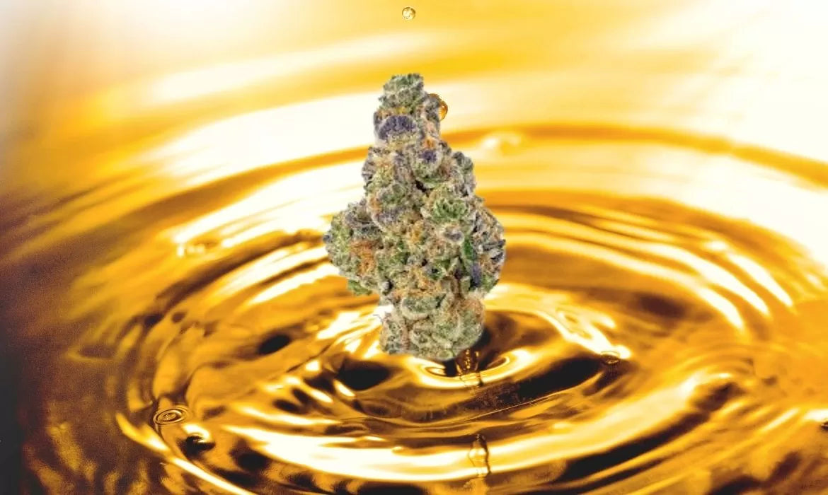 Sour Power strain