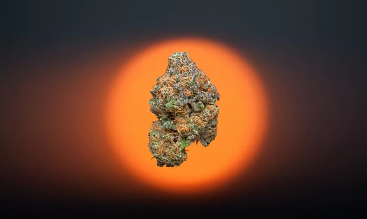 Sour Sunshine cannabis strain hovers above a sunset background