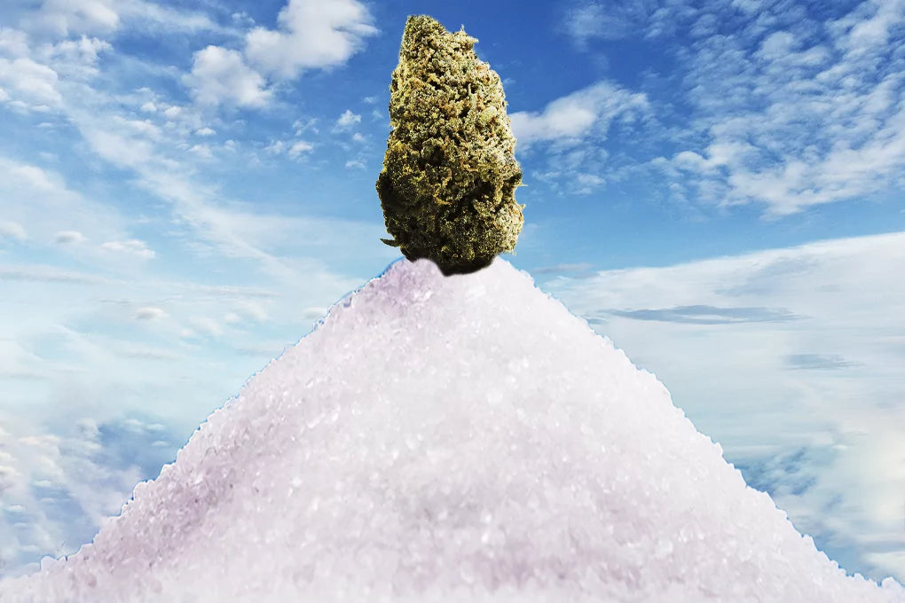 A bud of sugar queen strain cannabis sits atop a mountain of sugar with a cloudy blue sky in the background.