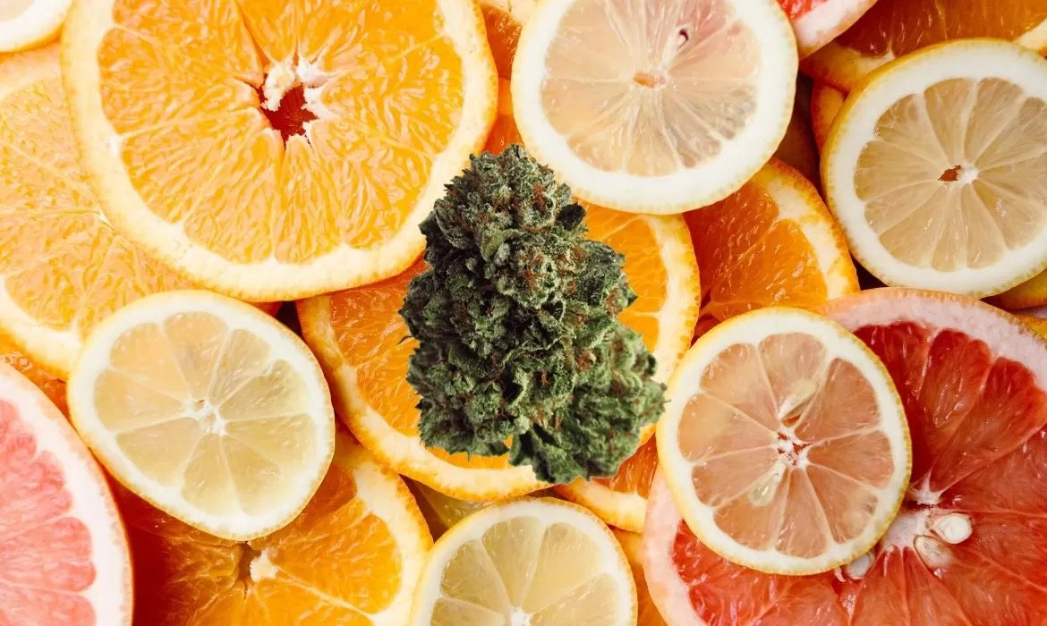 Super Sour Orange strain bud