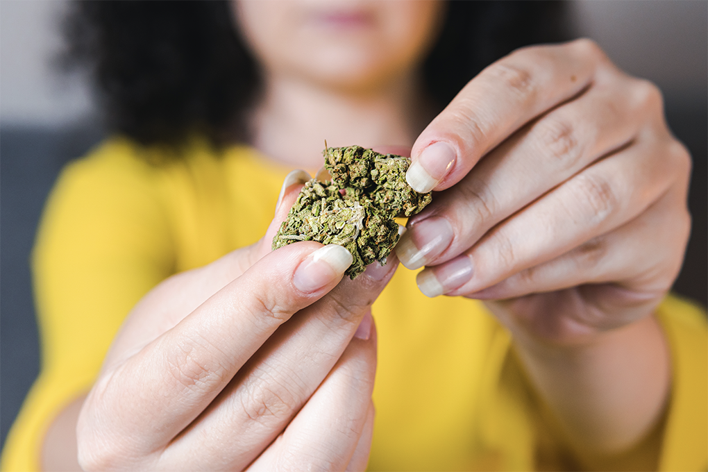 A lady wearing a yellow dress is holding a Cannabis Kush in her hand
