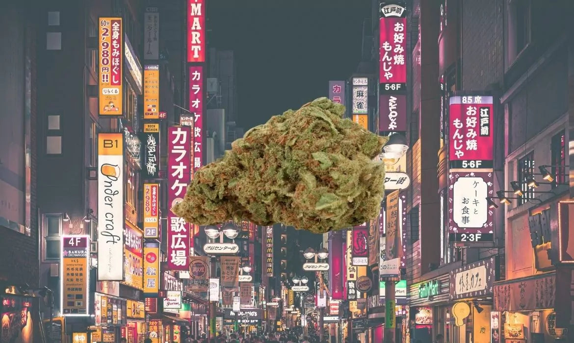 Tokyo hemp strain