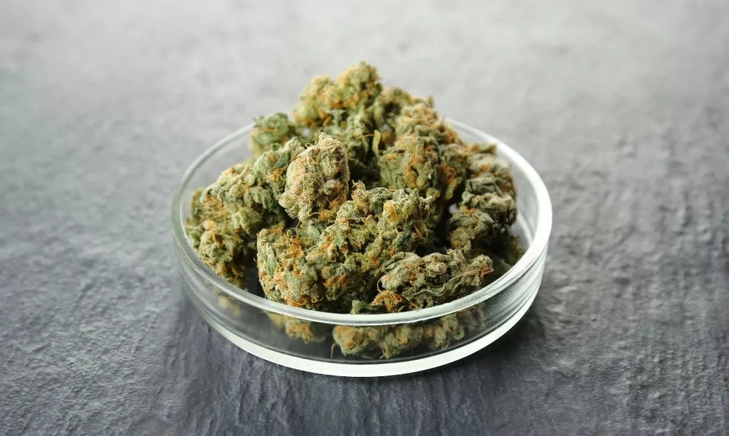 Blue Runtz Strain: Where Aromatic Delight Meets Deep Relaxation