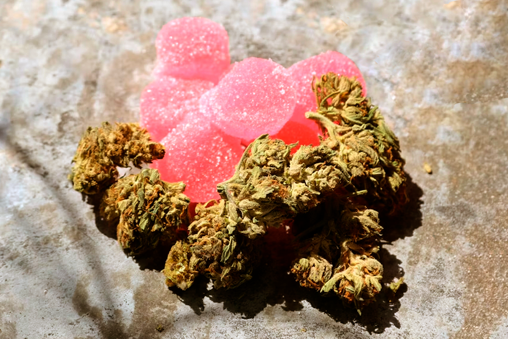 Cannabis strains and pink gummies arranged on a multicolored surface