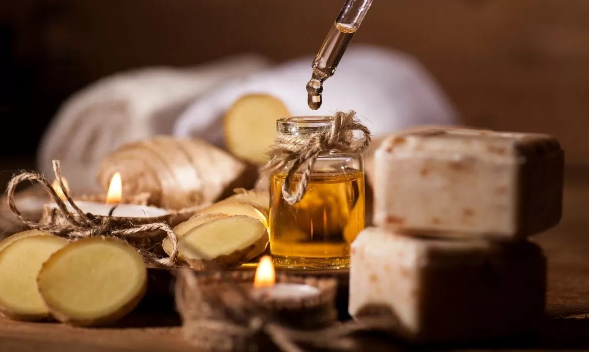 Ginger oil full of camphene