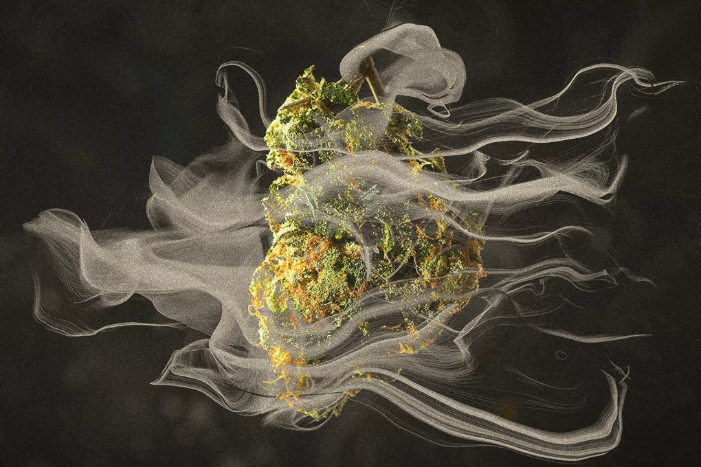 CBD flower on a black surface with white smoke around