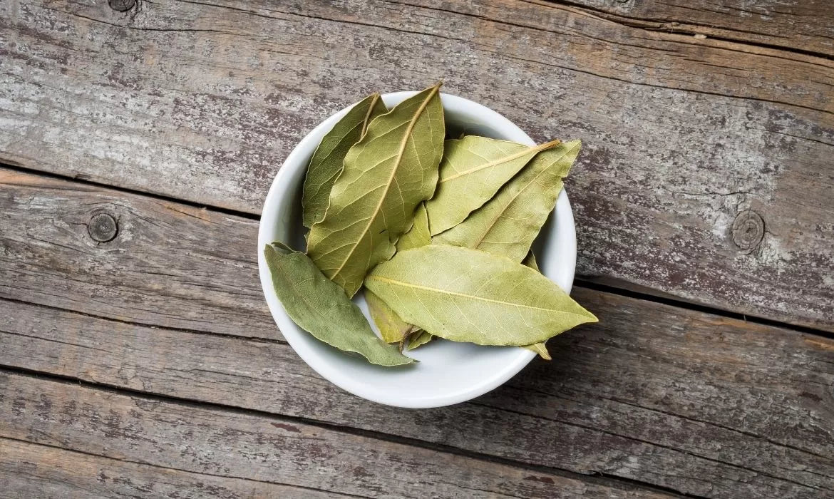 Bay leaves full of Geranyl Acetate