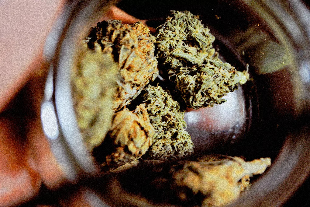A close up shot of an open jar with a few buds of cannabis inside.