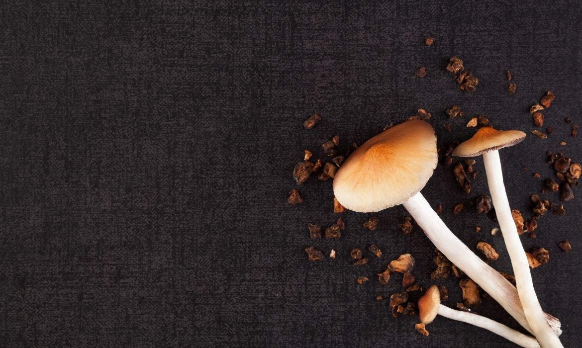 Psilocybin mushrooms for water