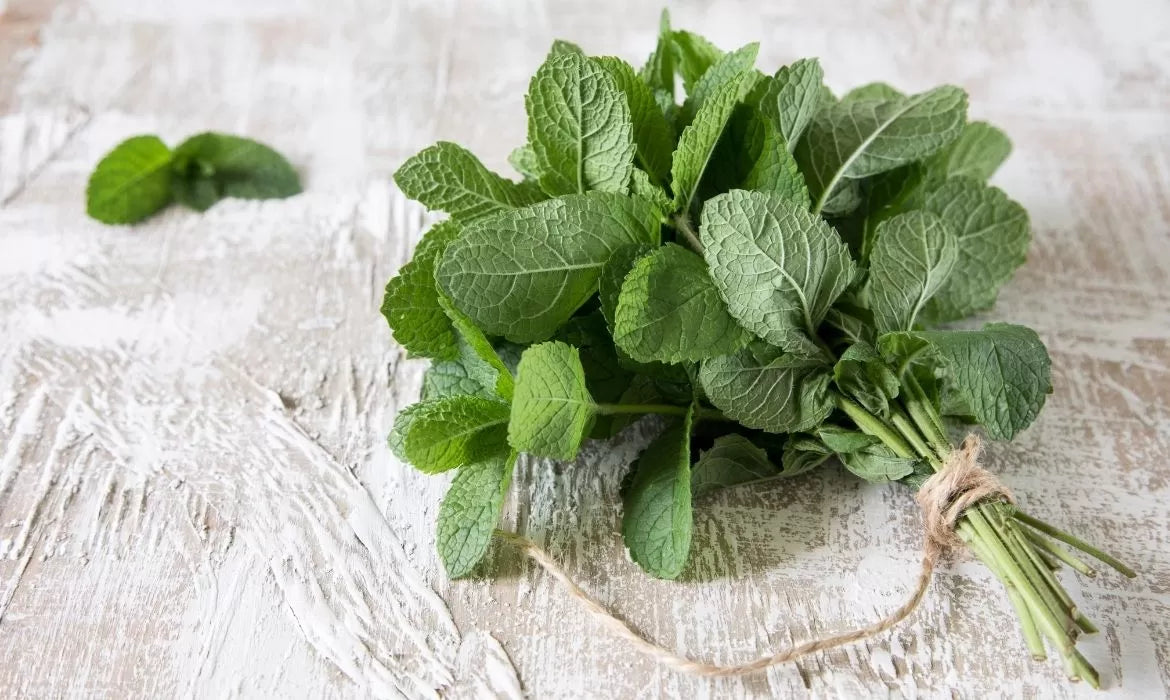 Mint full of Pulegone