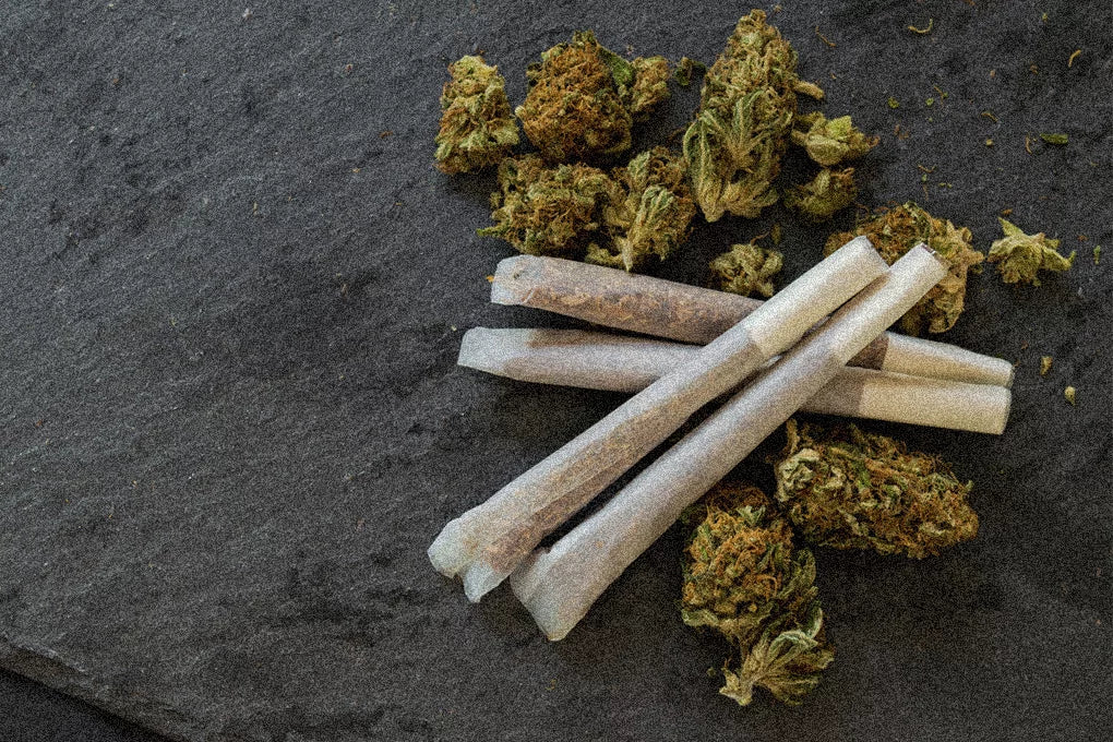 Four pre-rolled cones sit crisscrossed on a table next to some loose cannabis buds.