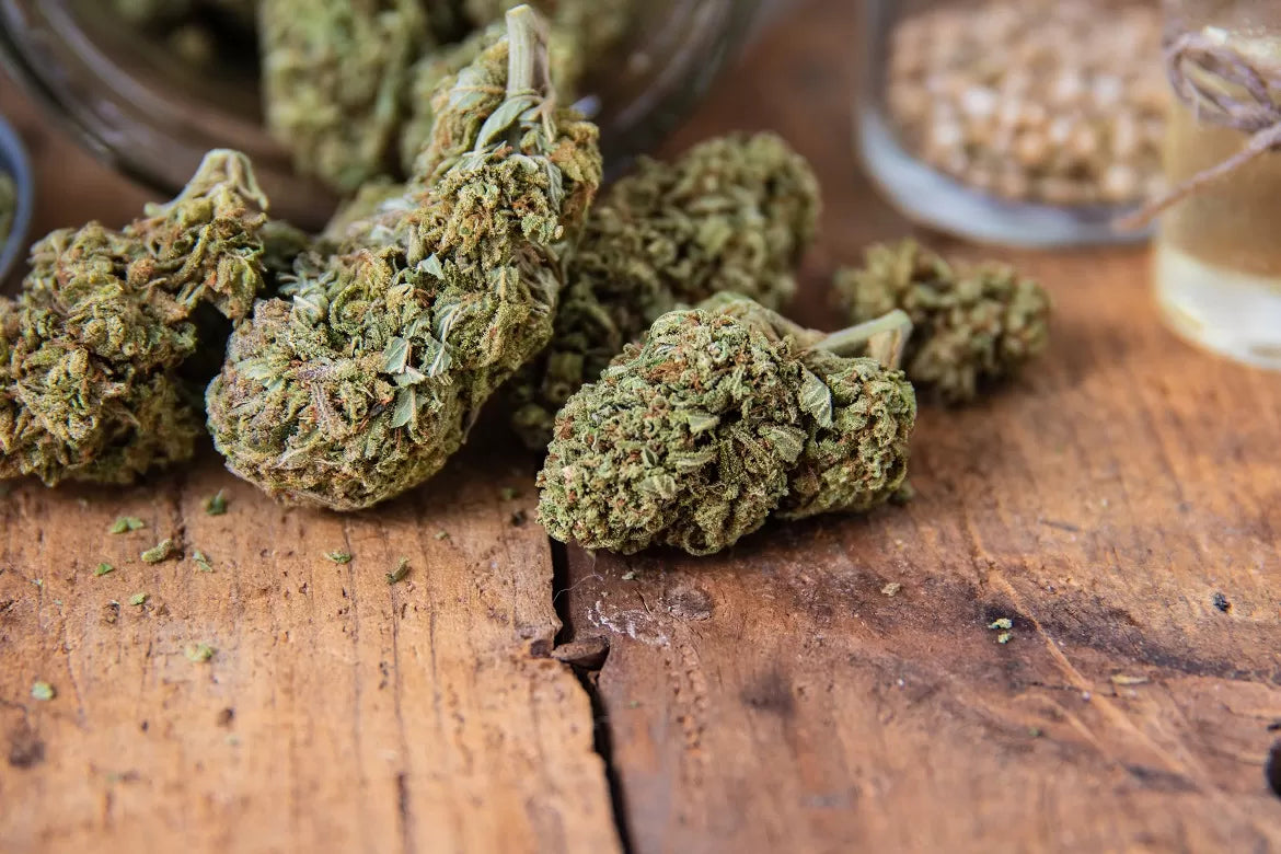 Cannabis buds full of CBT cannabinoid