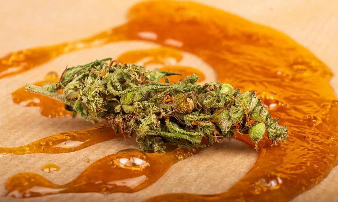 Cannabis bud on top of some live resin sauce