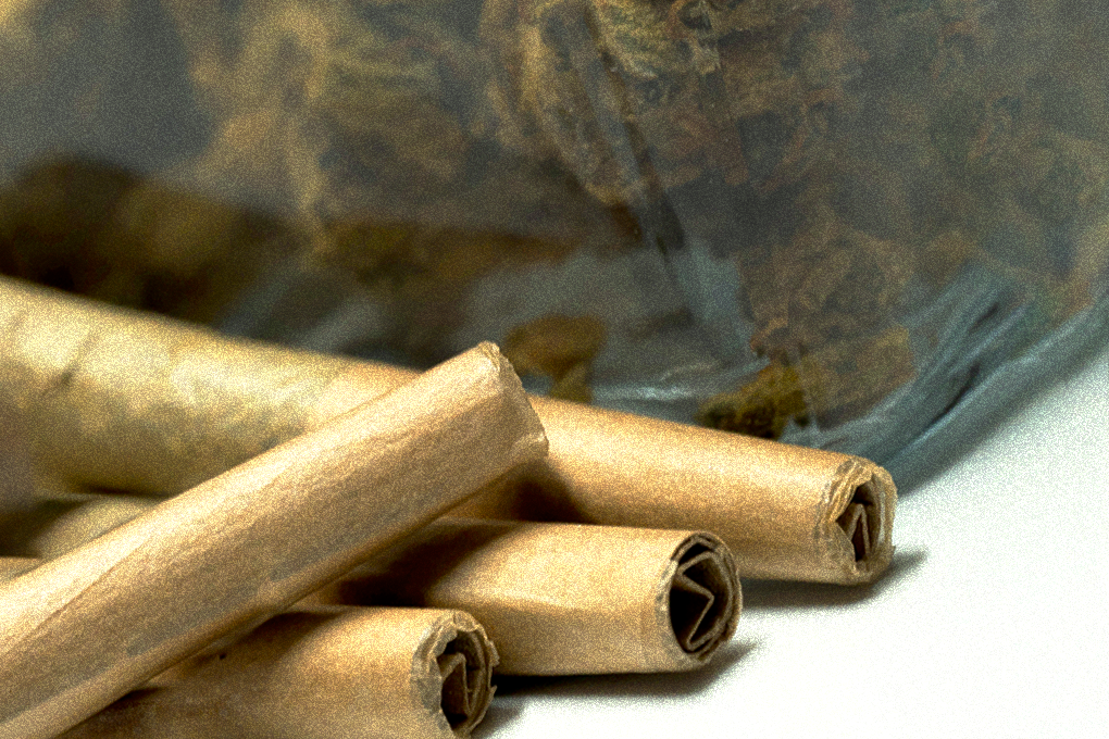 Cannabis prerolls neatly arranged on a white surface alongside a pack of cannabis flower