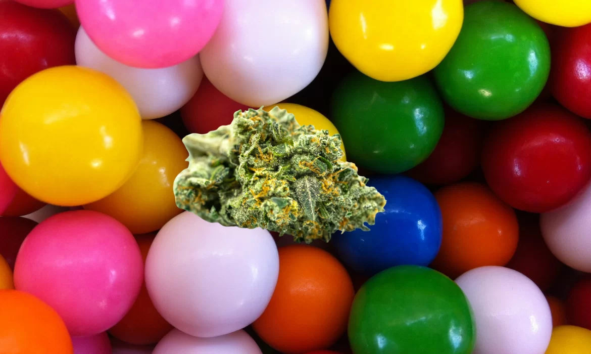 marijuana flower over a background of bubble gum balls