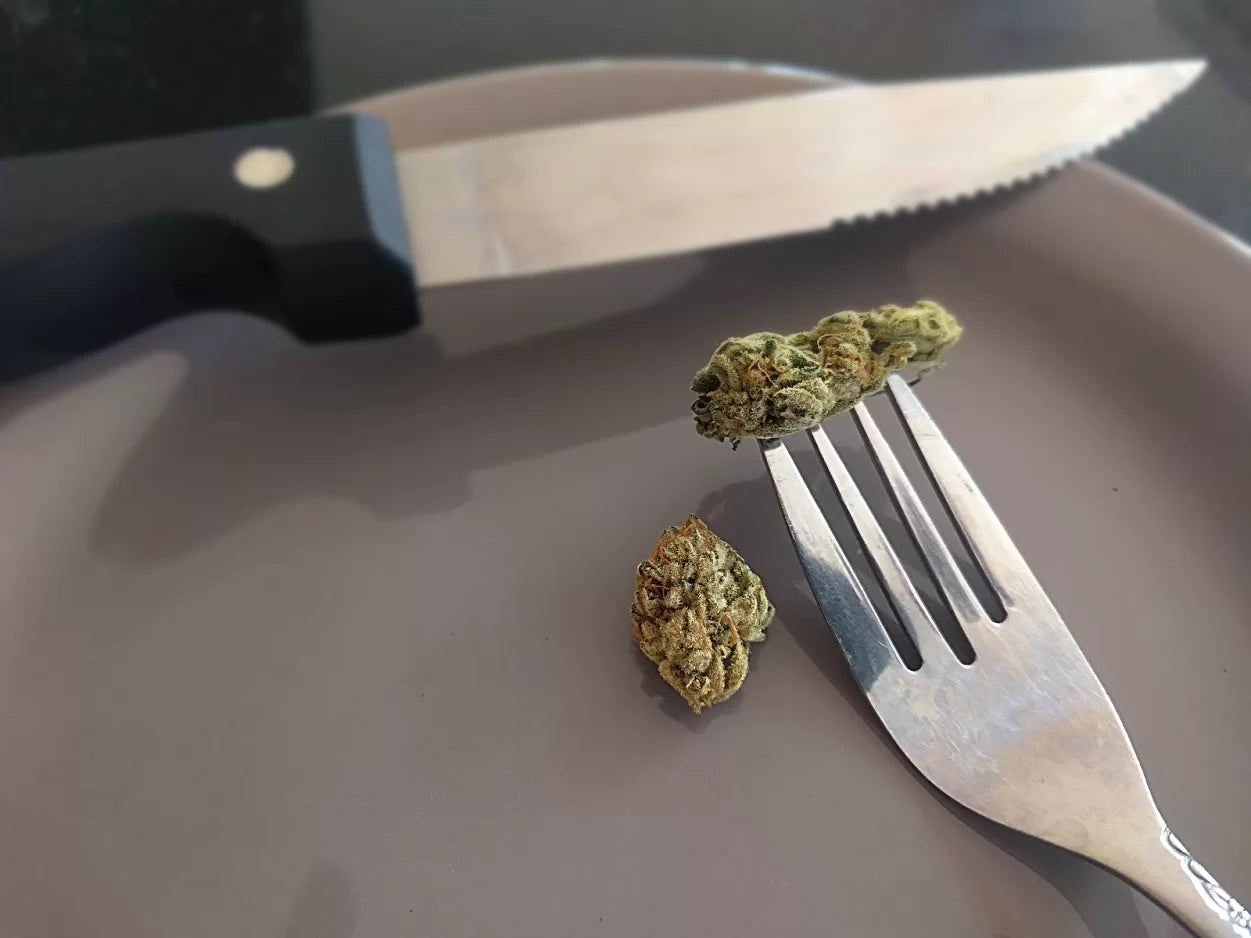 Hemp flowers on a fork and plate
