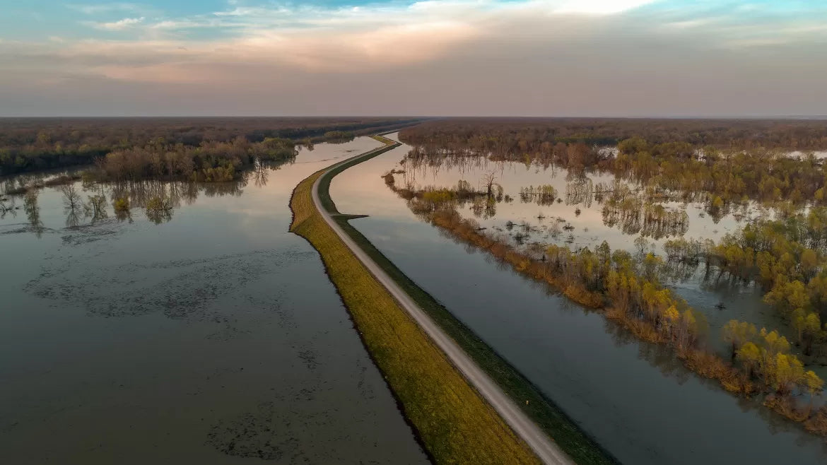 A view of a river in MS