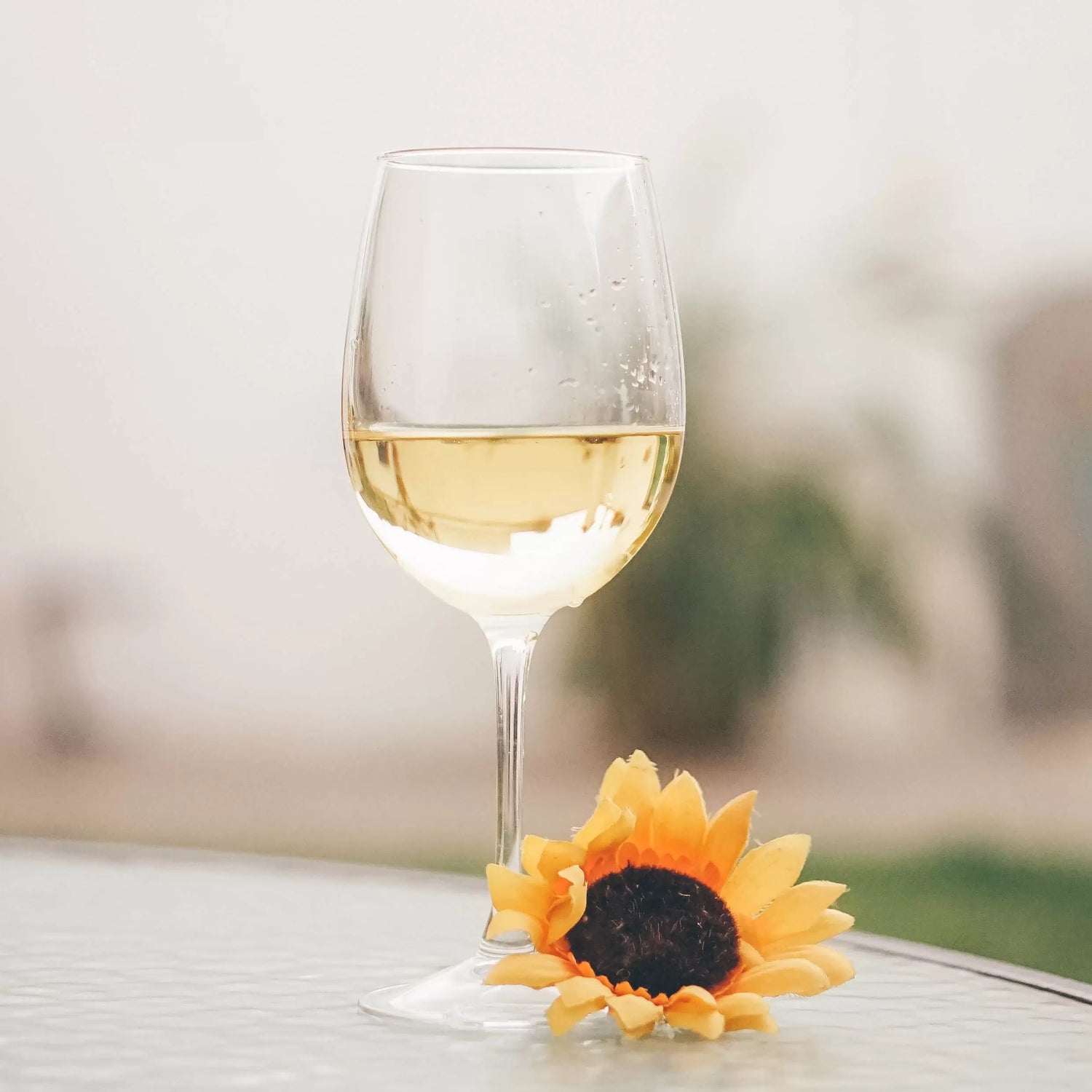 A glass of chardonnay wine near a flower