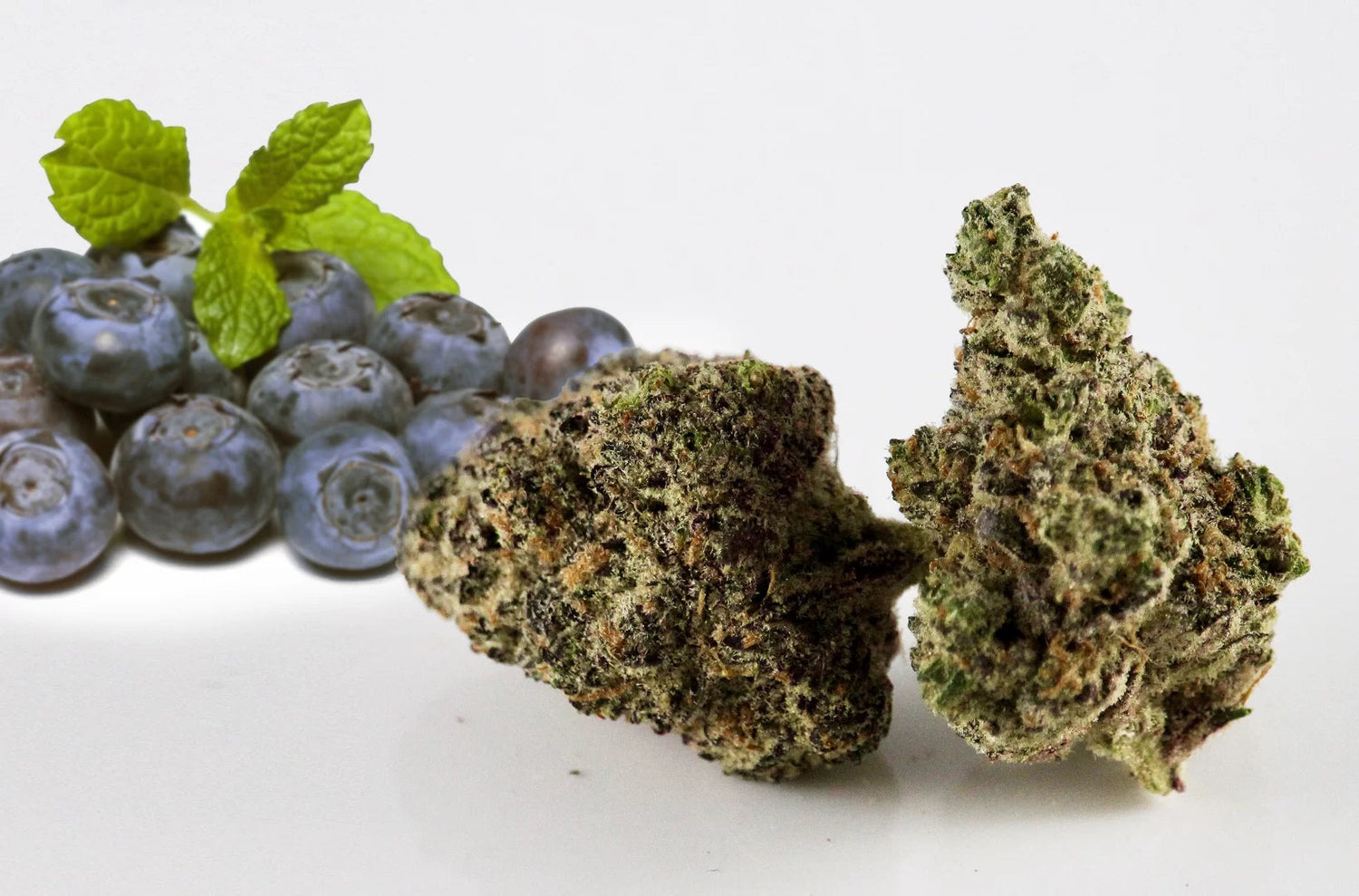 Haze Berry cannabis strain in front of blueberries