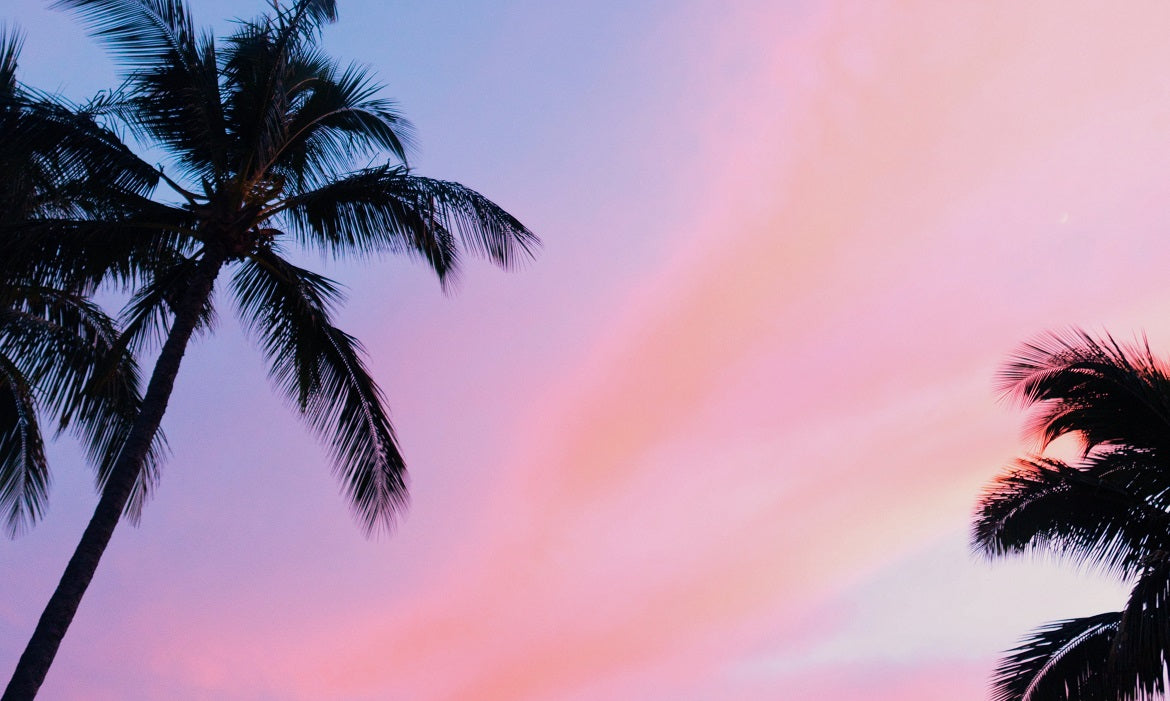Palm trees during a sunset in Hawaii