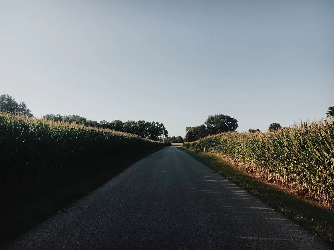 A country road in Kentucky