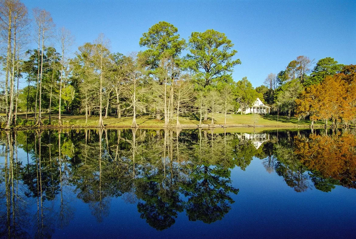 A house on a lake in Louisiana