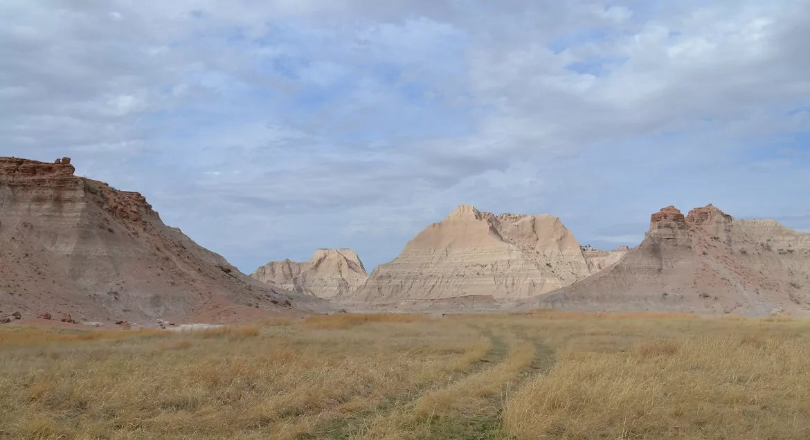 Some mountains near a hemp field in South Dakota