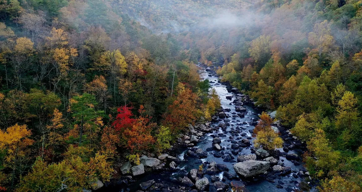 An aerial view of a river running through a forest in Virginia