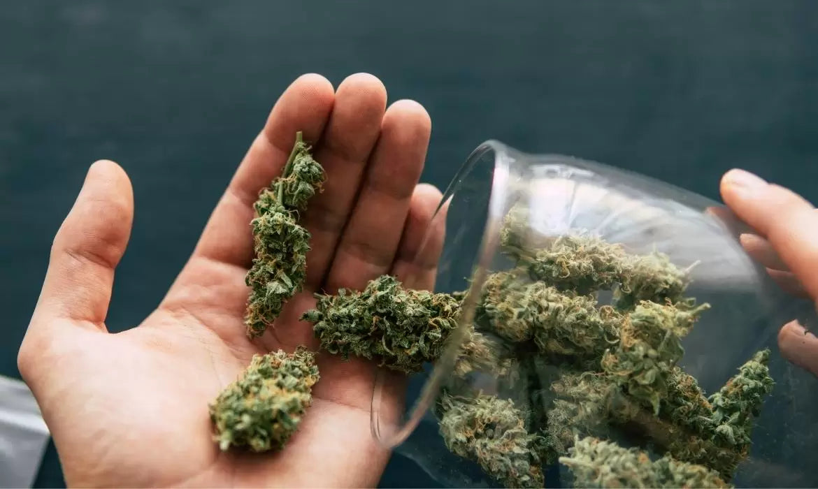 Person drops marijuana buds from a glass container into a hand.