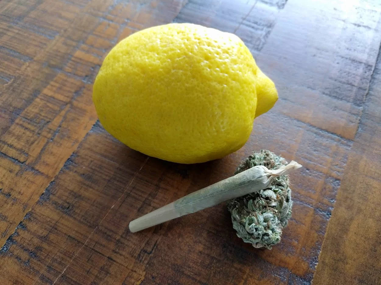 A cannabis flower and joint next to a lemon