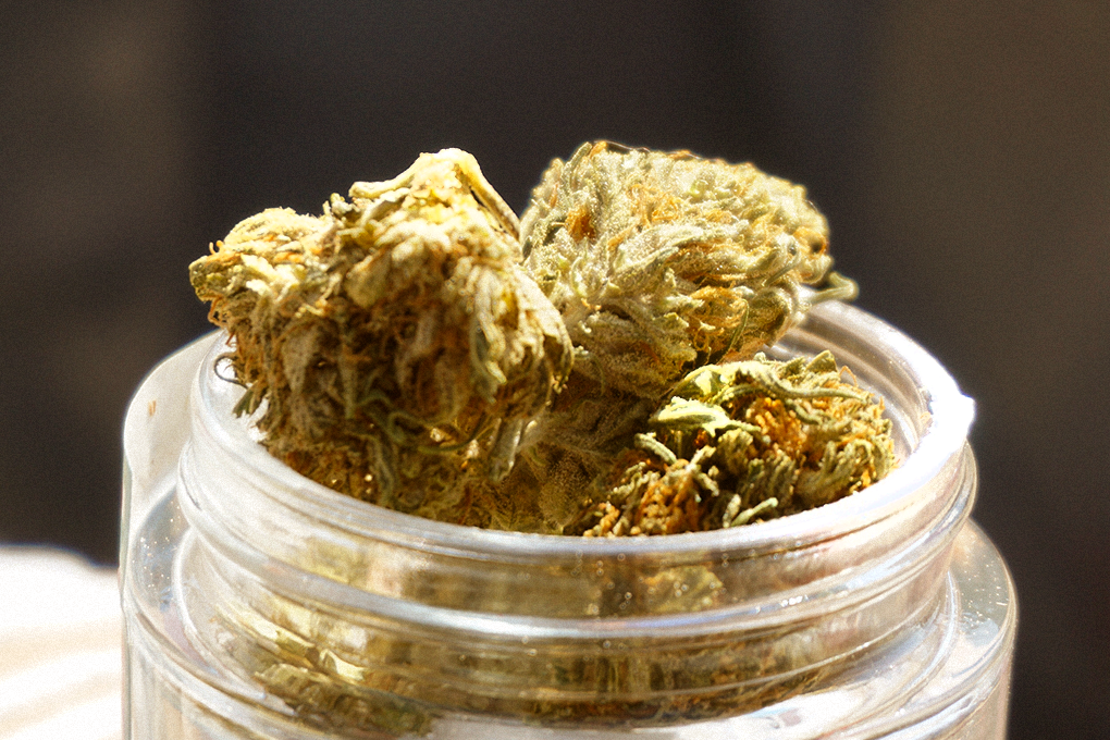A close up of the top of a jar that is overfilled with cannabis buds.