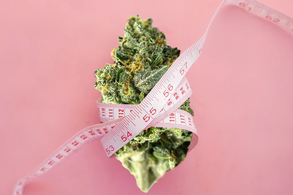 an image of a cannabis bud with a measuring tape around it as though it's measuring it's waist.